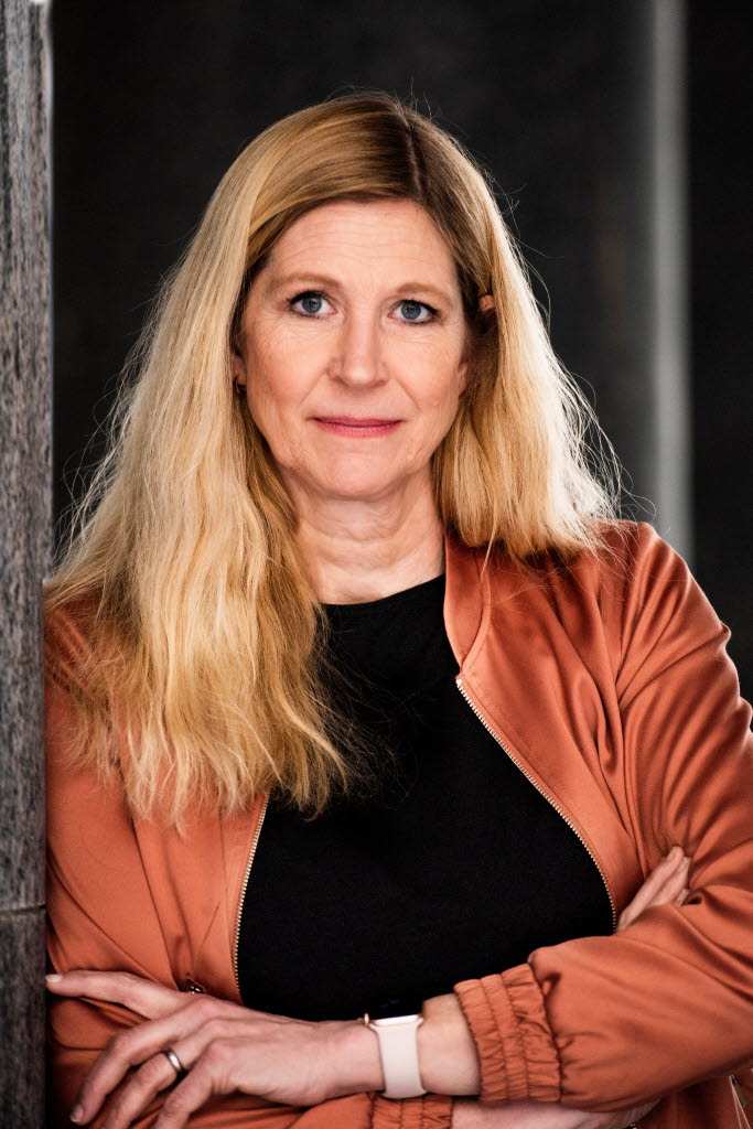 Sara Henrysson Eidvall: min professionella utveckling