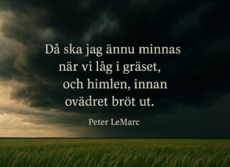Poetisk närvaro – ett samspel mellan dikt och psykologisk praktik